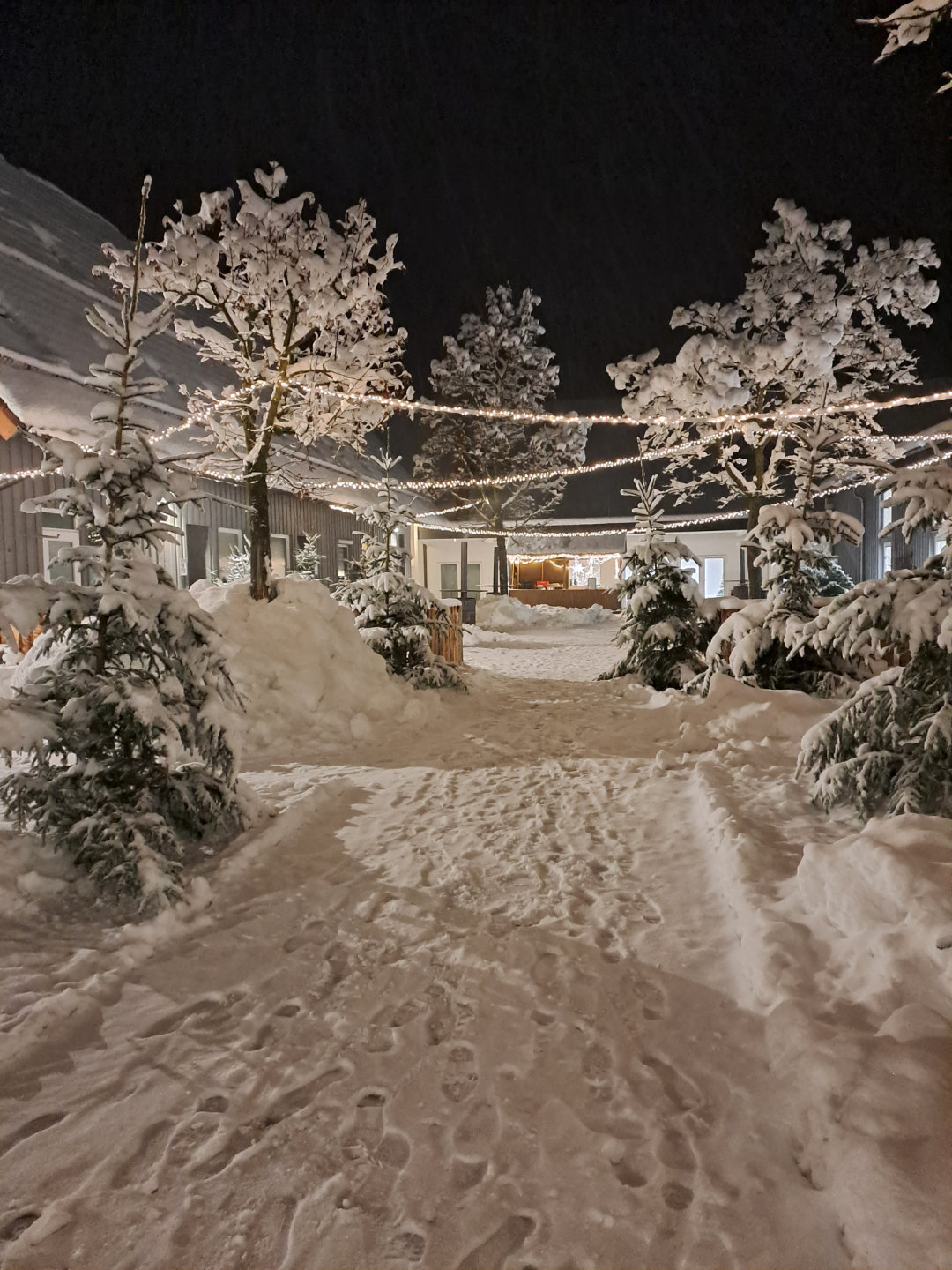 Winter Weihnacht Innenhof Schnee